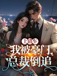 上错车嫁对了总裁电视剧