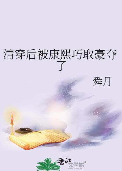 清穿后被康熙巧取豪夺了讲的什么